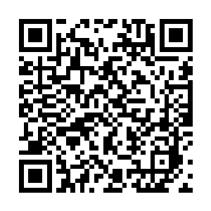 现在竟然被一些联合在一起的三品宗门给打到了家门口二维码生成