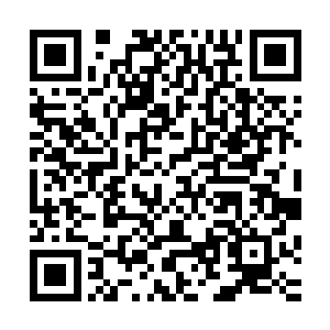 现在能给嬴家施压的人他苗毅也给不了人家想要的利益做交换二维码生成