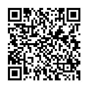 现在苏谯和遂安的发展势头已然完全把其他几个县彻底甩开了二维码生成