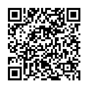 现在这一盆子的虫子就像是打了激素一样开始乱动起来二维码生成