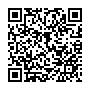 现在飘上淡淡的绯红感觉如百花当中点上一抹红一样二维码生成