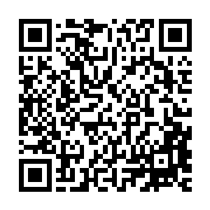现场录音设备甚至清晰收录到了皮球钻进网窝时的清脆摩擦……二维码生成