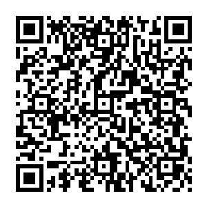 现场这些完全进入情绪的宾客们定然不会吝啬在支票薄上面签署一个又一个可观的捐款数字二维码生成