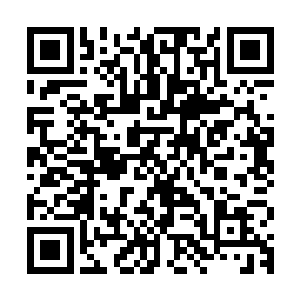 班的陈忠和付阳旭之间的表演和配合已经赢得了一片叫好的声音二维码生成