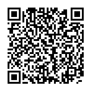 甚至一些尊级初期的天才身上的气势已经开始隐隐达到尊级中期的水平二维码生成