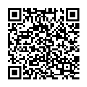 甚至就连楚旬那死死缠绕在他右臂上的双臂都被硬生生的崩断二维码生成
