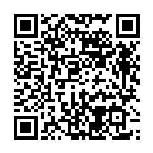 甚至有仙尊期的大修士愿意跟随自己前往南方开宗立派二维码生成