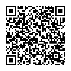 甚至连曹刚来担任县委书记都没有陆为民担任县委副书记这样大的震动二维码生成