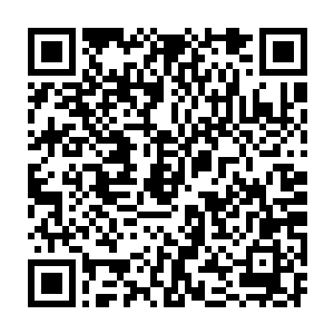 生命之核的能量波动便会在五分钟内跟被植入者的心跳频率达到同步二维码生成