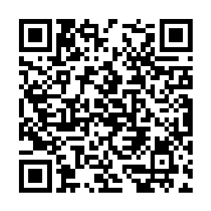 用滚滚红尘的滔天巨浪反复荡涤着千疮百孔的道心二维码生成