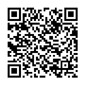 用琴瑟色自己都不记得而把肯定变成不确定的结果二维码生成