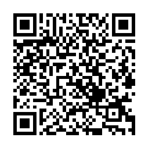 用真灵之瞳在奇迹大殿中四处查看有没有什么特殊的地方时二维码生成