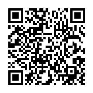 由无数剑意组成的剑龙正在此起彼伏地向着幕羲冲撞而去二维码生成