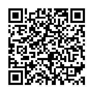 甲贺宗师您就这么肯定我的亲人会被那些忍者放在总部里藏着二维码生成