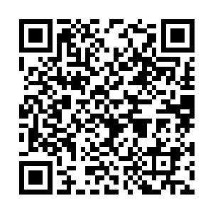 电视上显示着赵纯良和白小仙一起走进房间的画面二维码生成