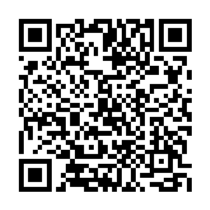 男子也知道木萦真的是完全没有别的办法可用了二维码生成