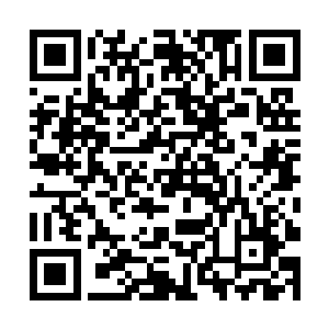 白家是怀疑的对象之一这件事情也不是他随意杜撰的二维码生成