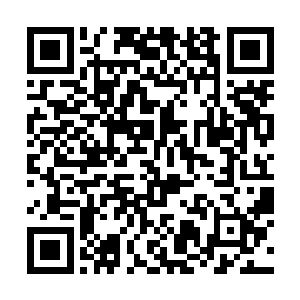 白玉京的车筐里放着一套书和一个造型可爱的招财猫二维码生成