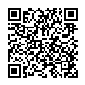 白玉无暇的脸在这光线不怎么明亮的屋子里十分的耀眼二维码生成