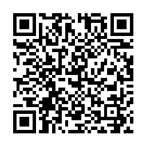 白石和马一眼就被洪大力的那台完美级的古兰修给吸引住了二维码生成