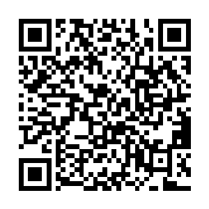 的确是受到了深渊魔界和昆仑界的双重打击而覆灭的二维码生成