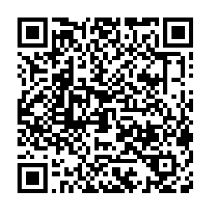 的确是自己签的那份就算被夏侯龙城给打死也不追究责任的挑战契约二维码生成