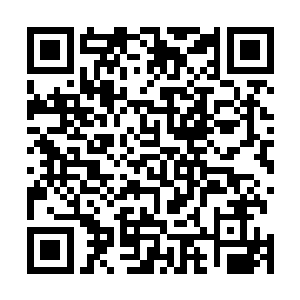 的衣物和毯子宛若一个垃圾堆构成的碉堡般将他完全淹没二维码生成