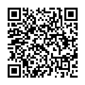 皆因所有的令主都要在此接受参加猎海大战的最后一道程序二维码生成