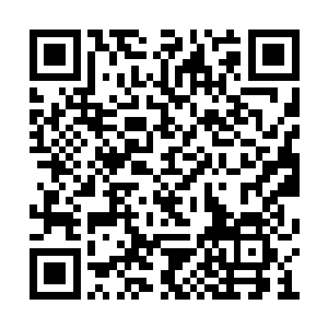 皆被那陡然而生的庞大水元涌动震荡的气血翻腾二维码生成