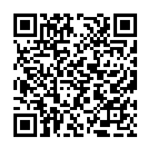 皇耀战队同样也有着针对沙罗曼蛇战队的计划……二维码生成