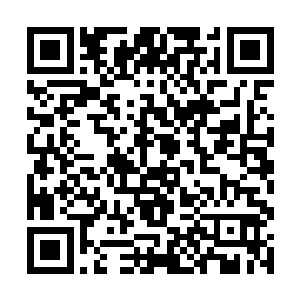 目光似被什么牢牢吸引住――似吃货遇到了绝世佳肴二维码生成