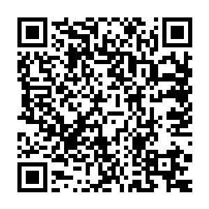 目光却是落到了那映出外面大片点缀着数量不少的纯白天地的光幕二维码生成