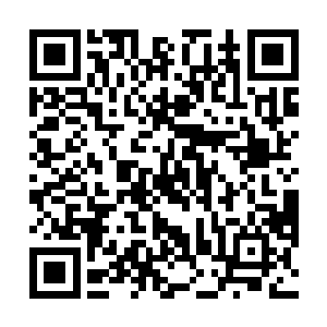 直到你们的医院给出你们信服的科学结论――在此之前二维码生成