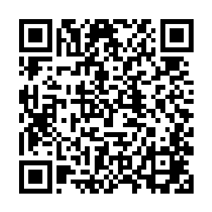 直接中个五百万不比在街边跟乞丐一样的强无数倍嘛二维码生成