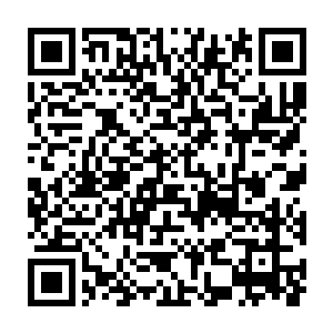直接把目光投向了坐在三排最中央位置的那位戴着毡帽的白发老人二维码生成