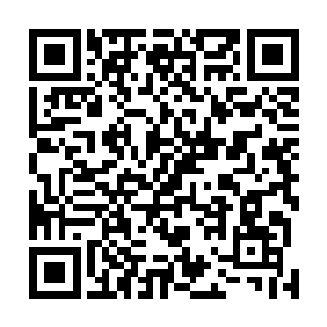 看不到多少绿意的岩石巨人身上也开始生长出大量的植被二维码生成