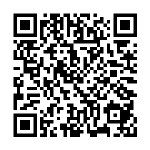 看了看杨晨却见杨晨只是微微一笑并不在意此事二维码生成