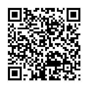 看到他们出现的时候四大王也是彻底的松了一口气二维码生成