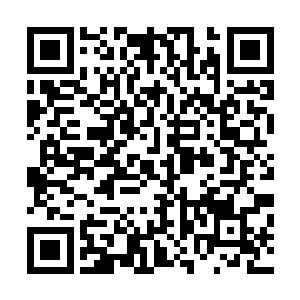 看到跟着他们一起回来的徐鸿彦脸上露出了几分真心的笑意二维码生成