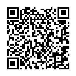 看完了李耀战斗视频和妖兽探测器的详细介绍之后二维码生成