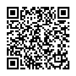 看来学校这一次也真的是下狠心要来处理打架斗殴事件了二维码生成
