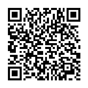 看样子她也熬不了多久了…张家留着她性命恐怕和梓箐一样二维码生成