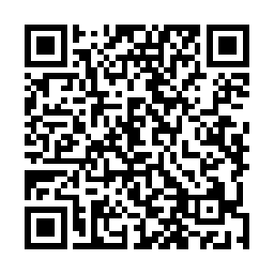 看田小刚以后还敢不敢对着自己趾高气昂不可一世的样子二维码生成