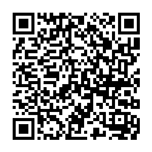 看过灰团子狩猎过程的人不敢相信这是一个捕猎不足一年的捕猎者的表现二维码生成