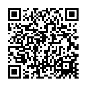 真想知道那个家伙看到你现在的实力会是什么样的表情二维码生成