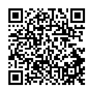 眨眼间就弥补了表面破损――与刚才被诛仙四剑顺利切割不同二维码生成