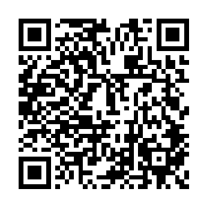 眯着一双朦胧的泪眼撒娇似的在荣驰怀里轻蹭着二维码生成