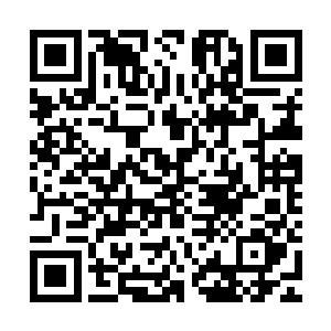 眼看自己这位从小便惊才绝艳音乐上无所不能的小堂弟面色不佳二维码生成