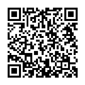 眼角的余光就发现穿着长裙的林若烟朝他们所在的位置跑了过来二维码生成
