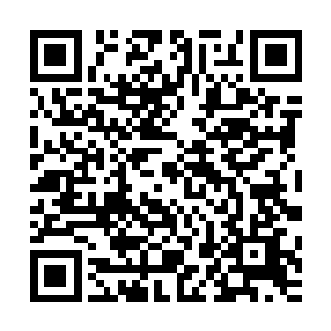 知道自己的行为刚刚确实鲁莽了一些的格力斯根本不敢说什么二维码生成